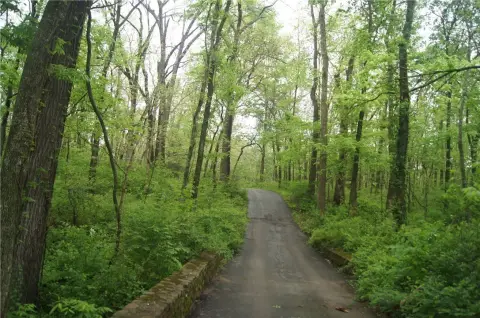 Wooded Land Tracts in Rogers