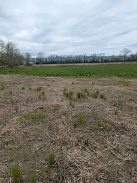 Six-Acre Residential Building Lot