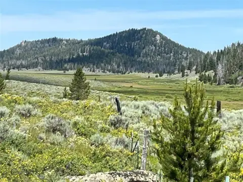 50 Acres Mountain Land - Butte