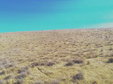 Agricultural Land with CRP Contracts