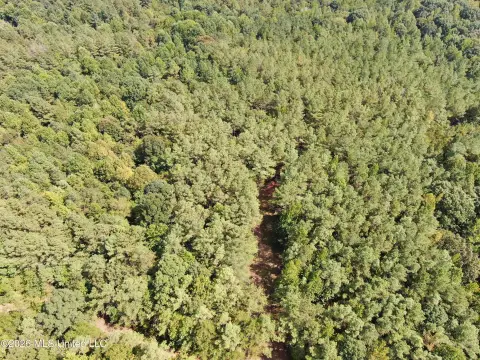Wooded Hunting Land with Trails