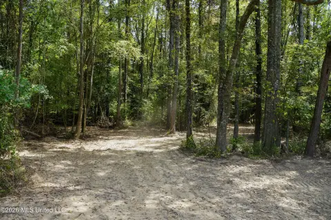 Recreational Land with Creek