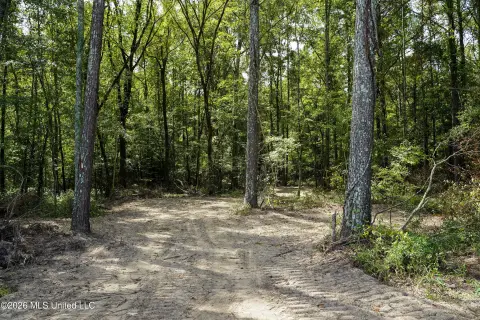 Hunting Land with Creek