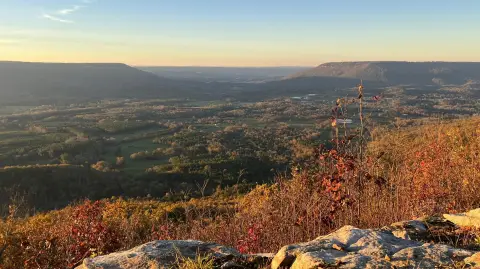 Menlo, GA Wooded Lot