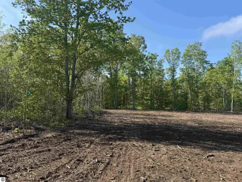 Land Parcel in Brightland Woods