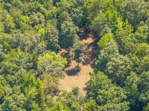 99+ Acres of Wooded Land