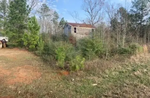 Timbered Hunting and Homesite Land