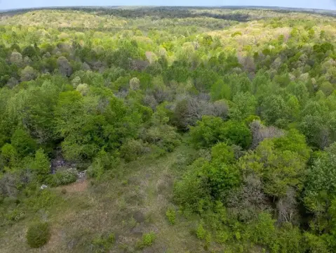 Wooded Hunting Land Tract