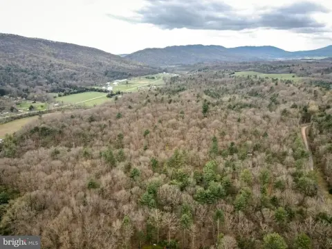 Wooded Acreage Bordering Runions Creek