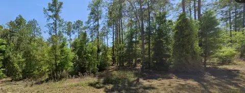Vacant Land in Williston, FL