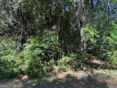 Saint Simons Island Land Parcel