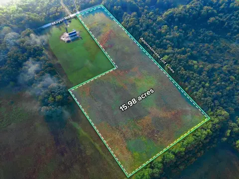 Cleared Agricultural Land