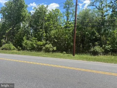 Wooded Land on Route 206