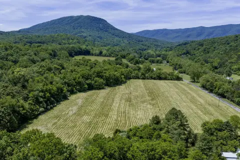 Agricultural Land with Cleared Acreage