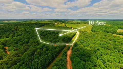 Wooded Hunting and Recreation Land