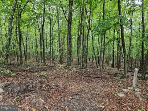 Wooded Land in Hedgesville, WV