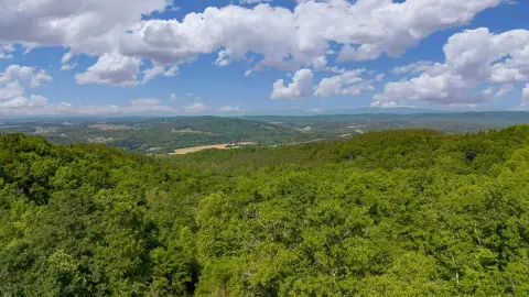 18 Acres in Buchanan, VA