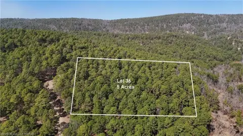 Wooded Land Near Sardis Lake