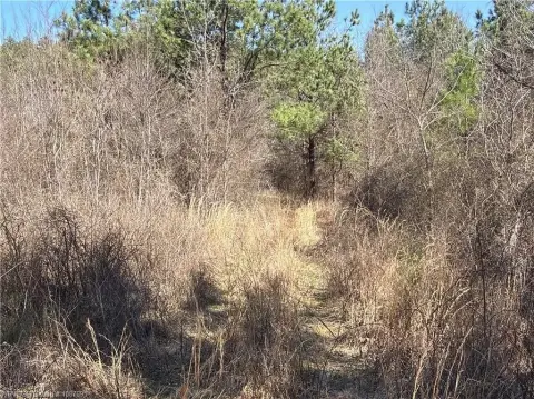 Secluded Heavener Land with Forest Frontage