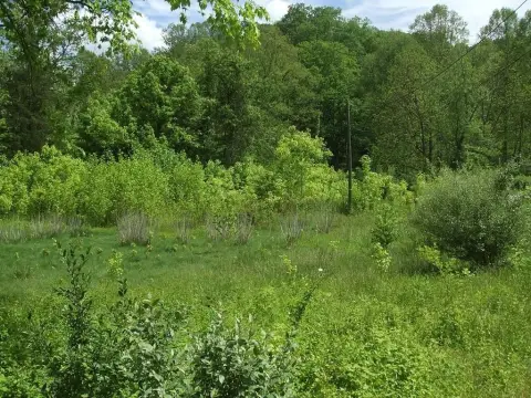 Warfield, KY Residential Land