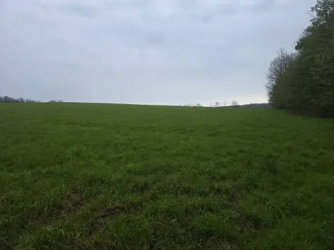 40-Acre Recreational Land Parcel