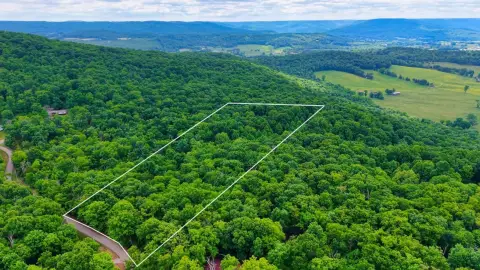 Wooded Recreational Land Tract