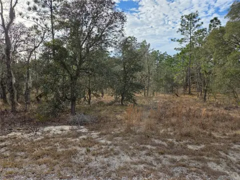 Acre Building Lot in Dunnellon
