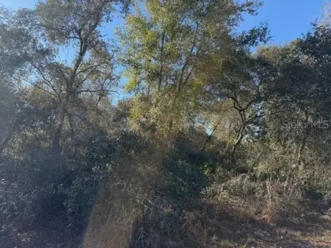 Residential Land in Marion Oaks