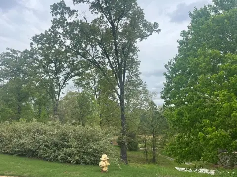 Golf Course Lot in Rosemont