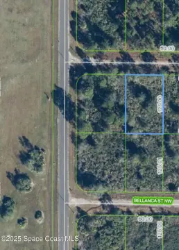 Buildable Lot Near Placid Lakes
