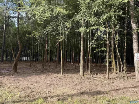 Level Waterfront Access Lot