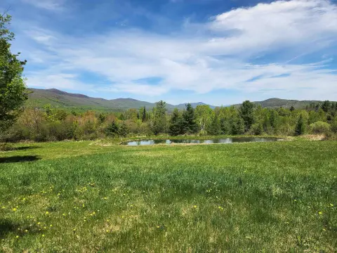 Recreational Hunting Land with Pond