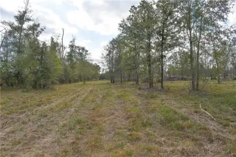 Livingston Vacant Land Opportunity