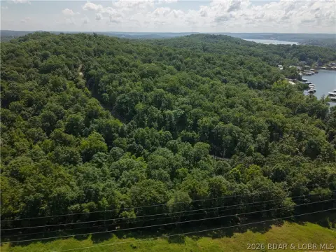 Wooded Lake-Adjacent Land Parcel