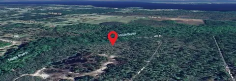 Agricultural Land Near St. Johns