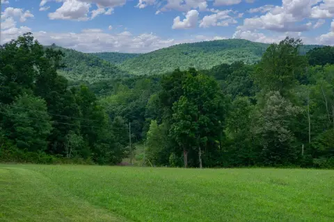Agricultural Land Parcel with Stream