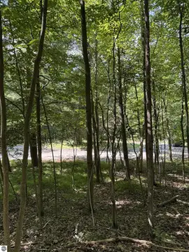 Wooded Lot in Mineral Springs