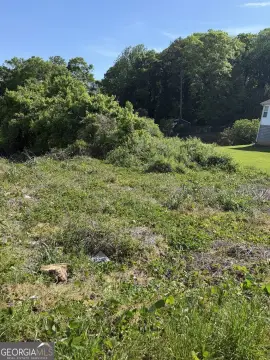 Residential Lot in Gainesville, GA
