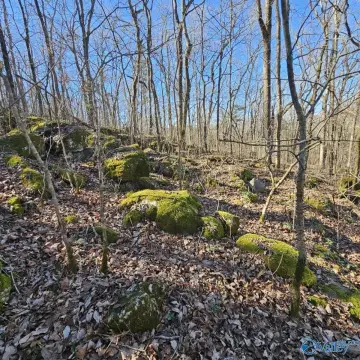 Recreational Hunting Land