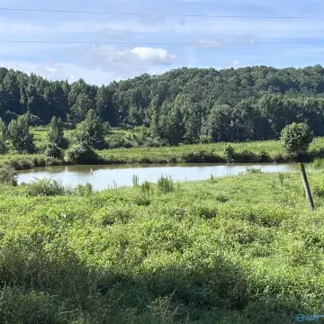 Fenced Pasture Farmland Tract