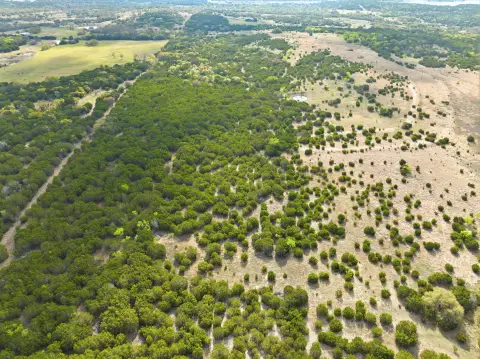 Recreational Hunting Land