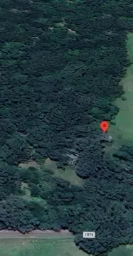 Wooded Land in Yantis, TX