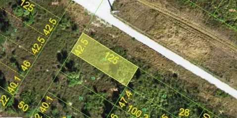 Punta Gorda Single Family Lot