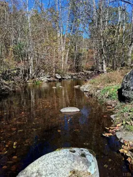 Riverfront Hunting Land