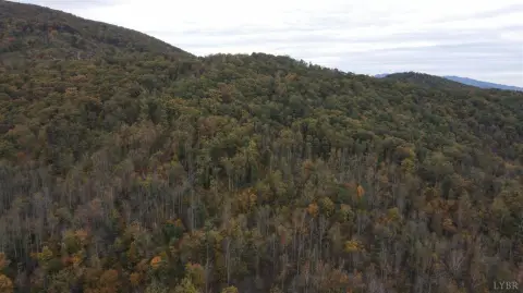 Amherst County Land with River Frontage