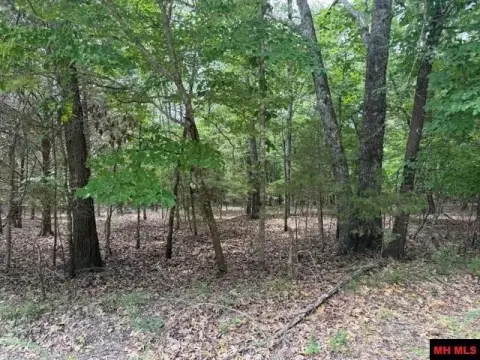 Wooded Hunting Land Parcel
