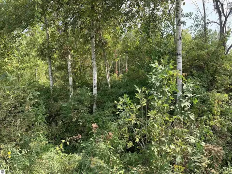 Commercial Land in Standish, MI