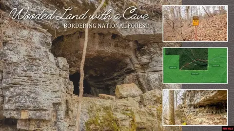 Wooded Hunting Recreation Land