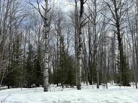 Land in Lakes of the North