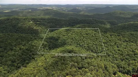 Timber Hunting Land Tract